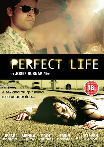Идеальная жизнь (2010)