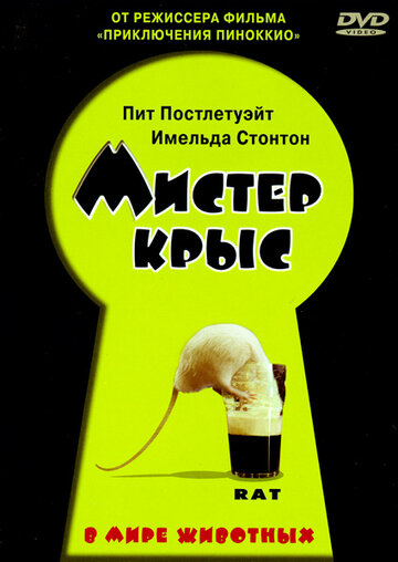 Мистер крыс (2000)